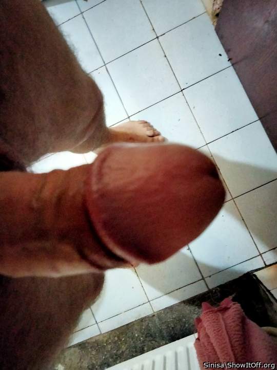 Your cock needs and deserves regular sucking