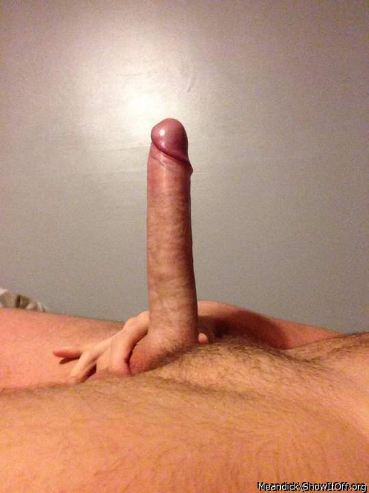  beautiful cock!!!