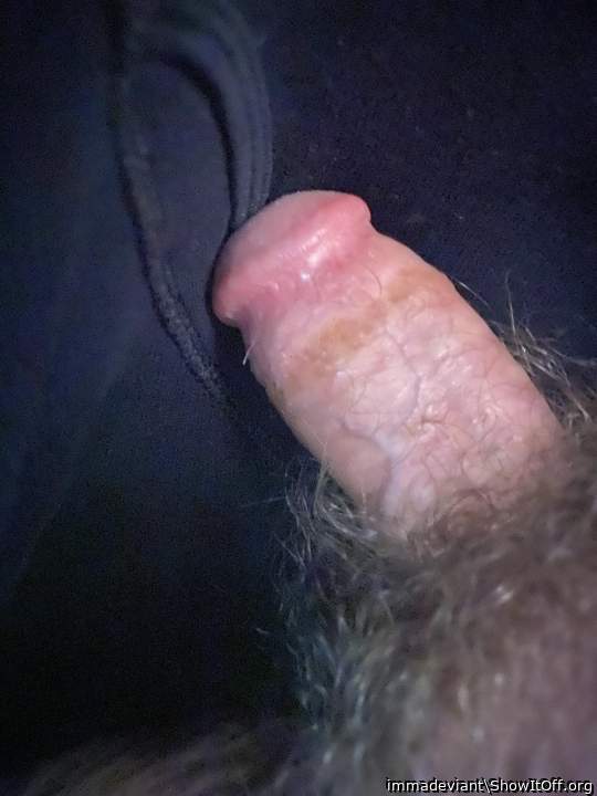 pre shaven