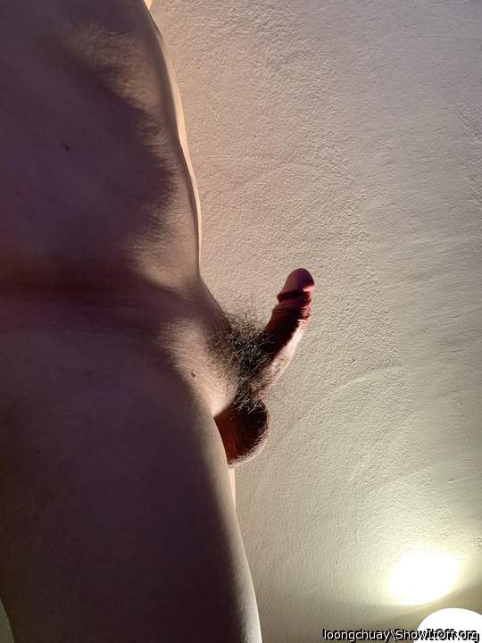 stay home stay horny