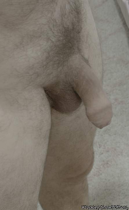 Very desirable uncut cock you are offering.  How I would lov
