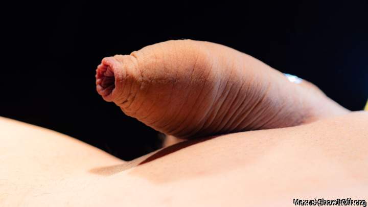 pure Foreskin art