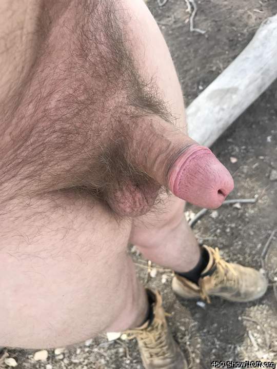 Does it need any attention from an innocent passer by?
