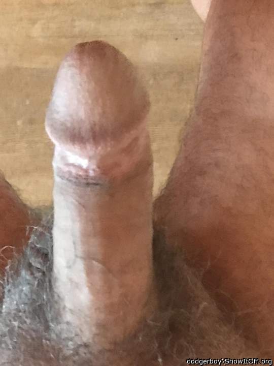 Photo of a drain pipe from dodgerboy