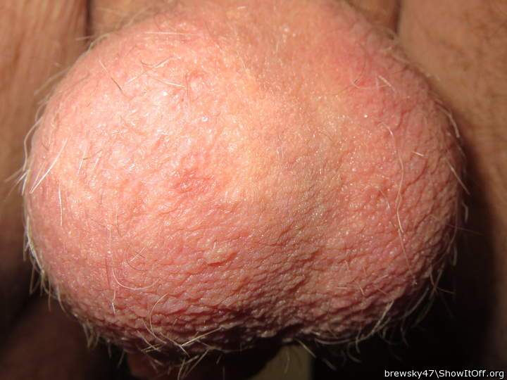 Testicles Photo from brewsky47