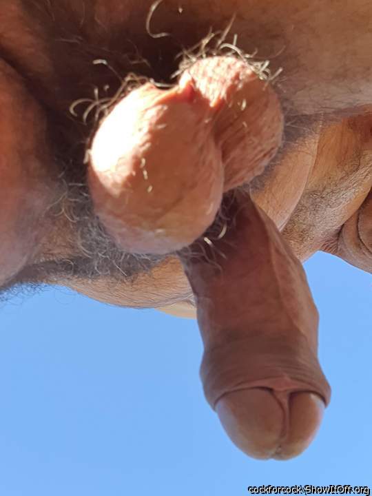 dip those nuts in my mouth