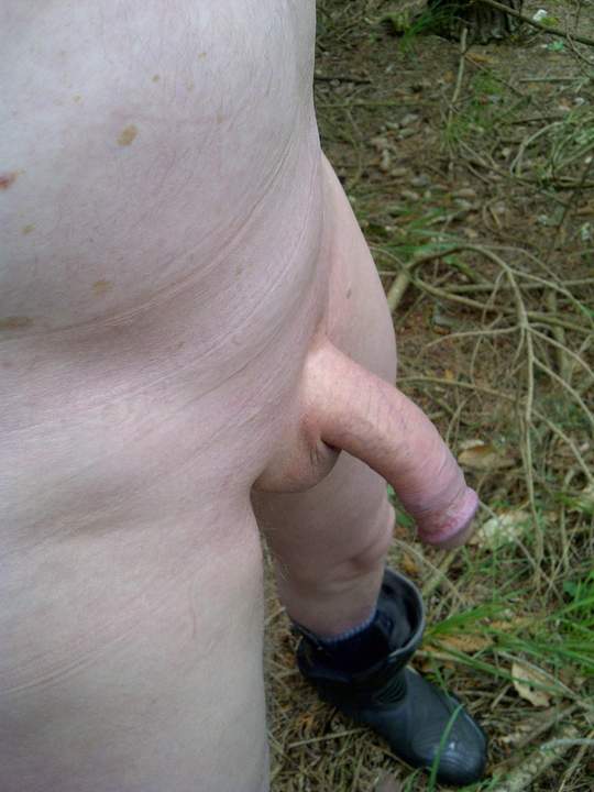 Photo of a horn from protwin