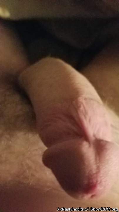 Photo of a schlong from XxNastyhabitsxX