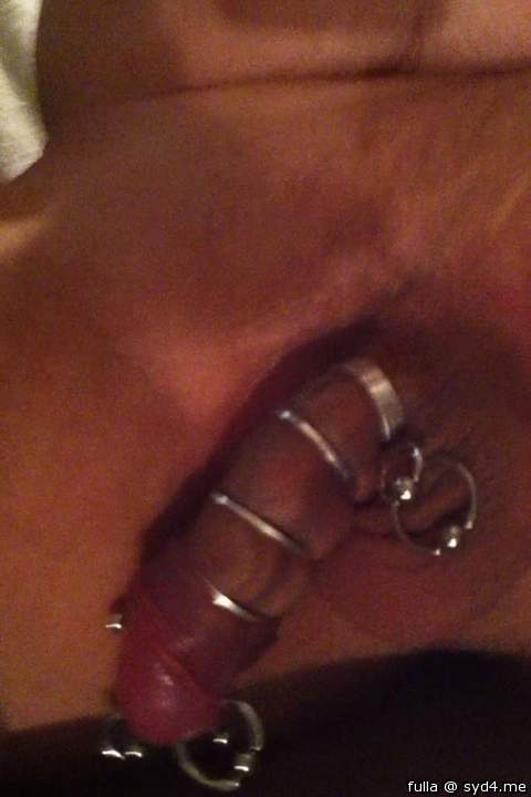 pierced cock with rings right down shaft