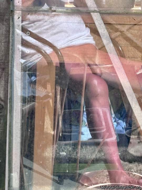The reflection in my greenhouse.
