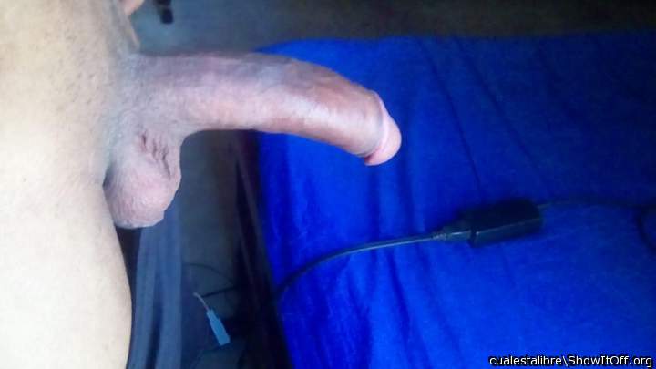 Photo of a hot dog from cualestalibre