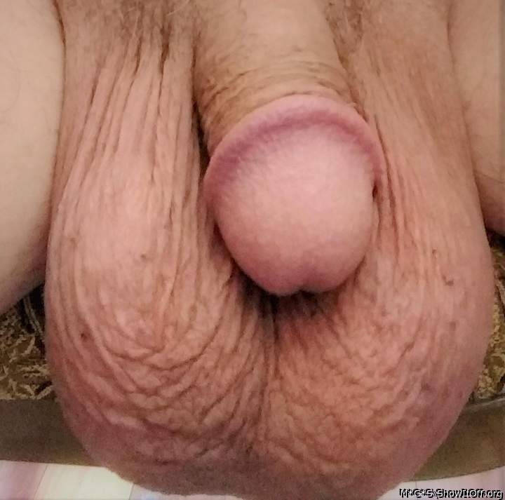 Photo of a middle leg from M*C*S