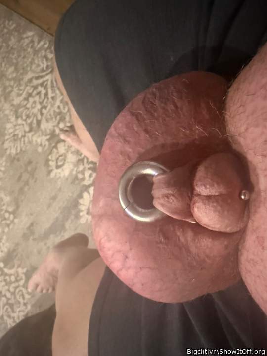 Photo of a lizard from Bigclitlvr