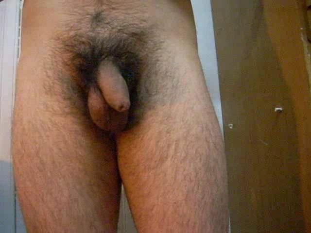 Photo of a equipment from chilenito_thno