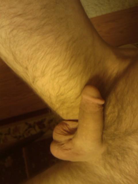 Photo of a phallus from yardog319