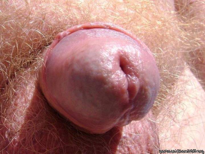 Cock head