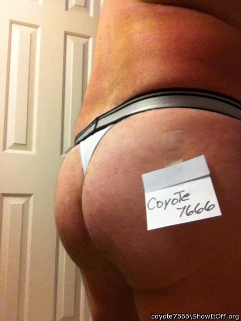 Photo of a third leg from coyote7666