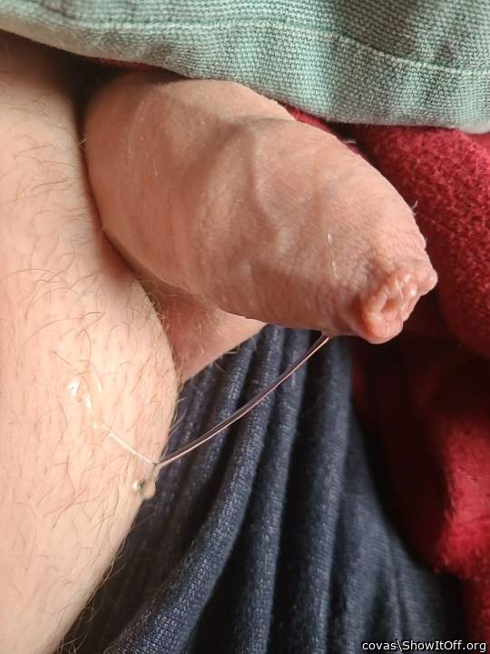 gef�llt mir immer wieder   