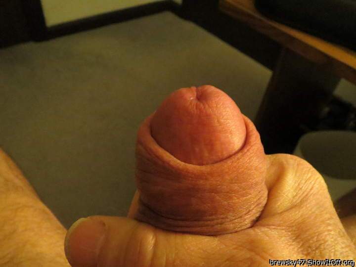 First erection of New Year