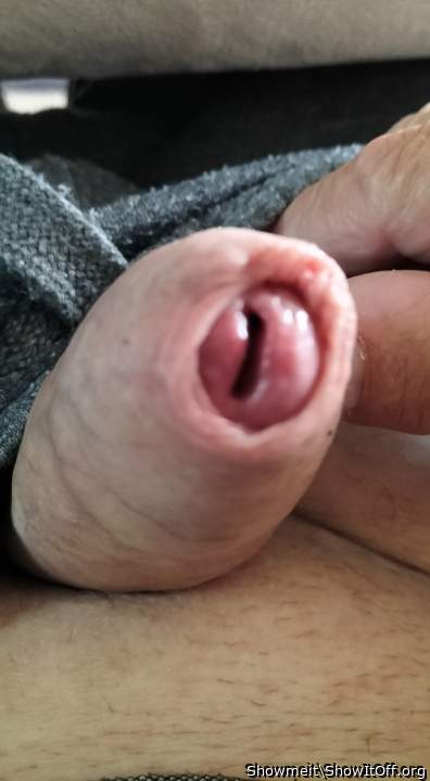 Photo of a one-eyed monster from Showmeit