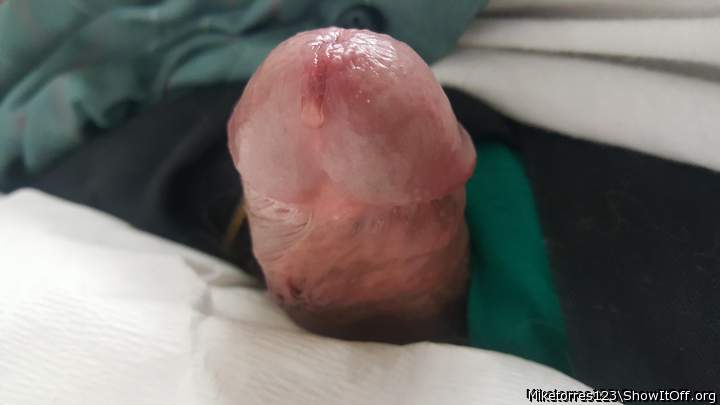 Photo of a sausage from miketorres123