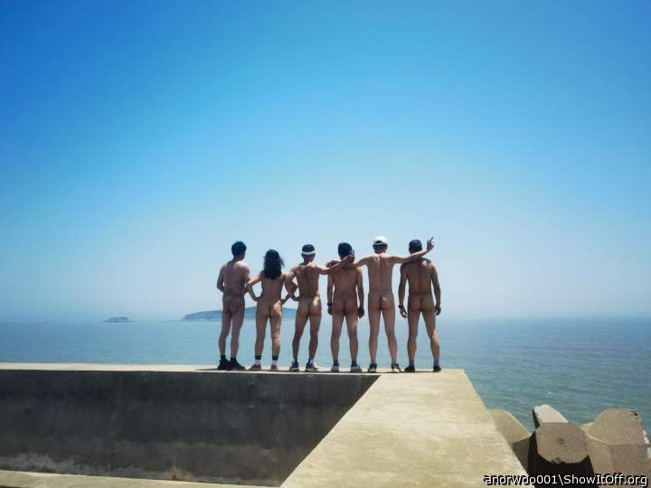 Photo of a middle leg from anorwoo001