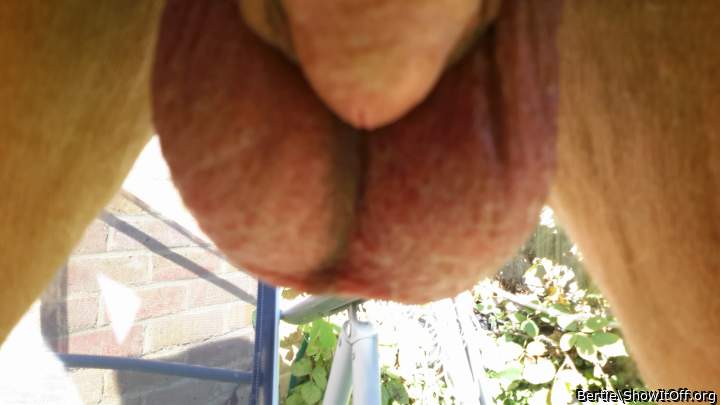 My balls sack