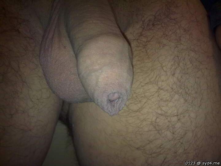 Photo of a third leg from 0123