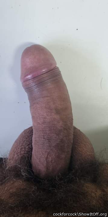 Photo of a dong from cockforcock