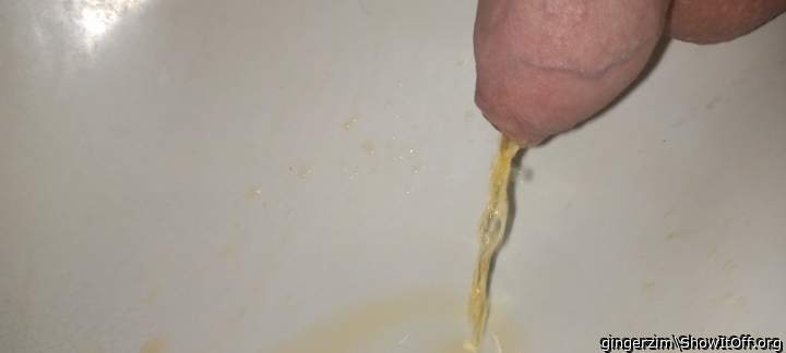 Adult image from gingerzim
