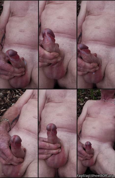 Photo of a weasel from FagSlag