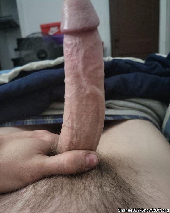 Awesome boned up cock buddy!   
