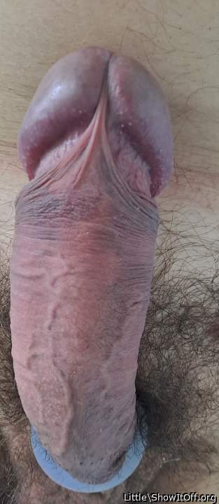 Photo of a sausage from Little