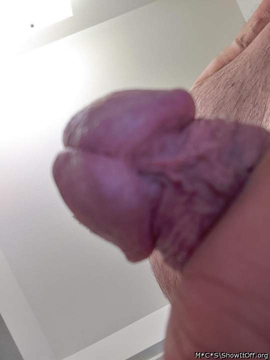 Photo of a horn from M*C*S