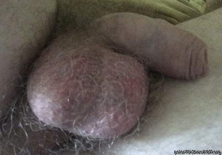 Testicles Photo from peter79