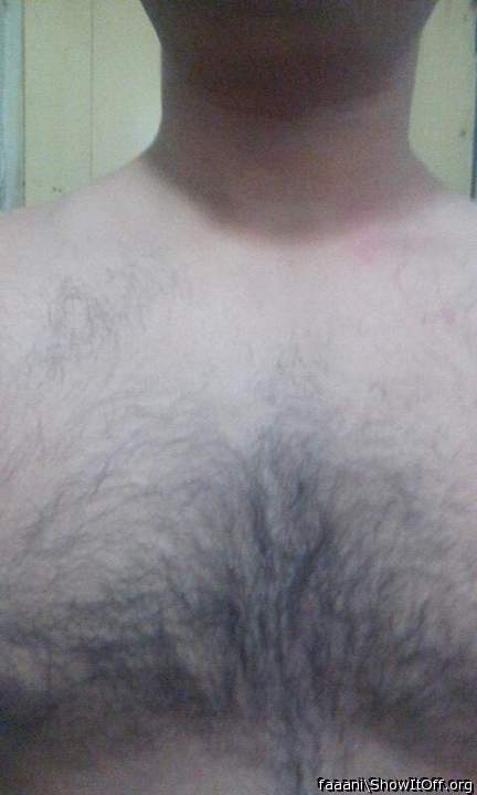 Photo of a middle leg from faaani