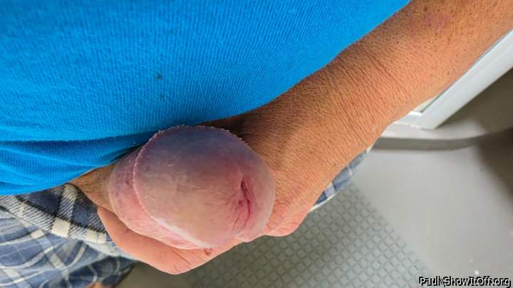 Photo of a dong from Paul