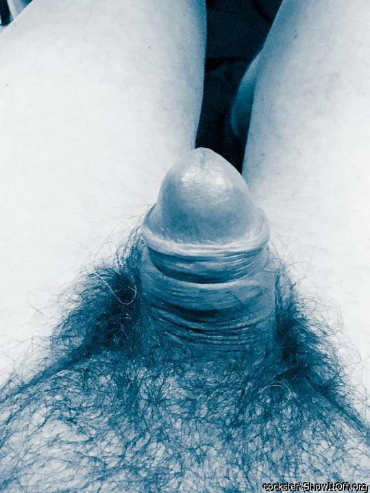 Photo of a sausage from Cockster