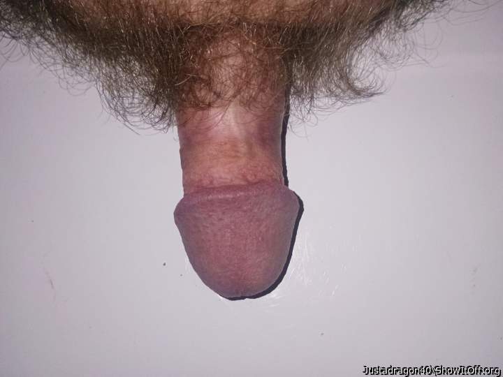 Photo of a schlong from Justadragon40