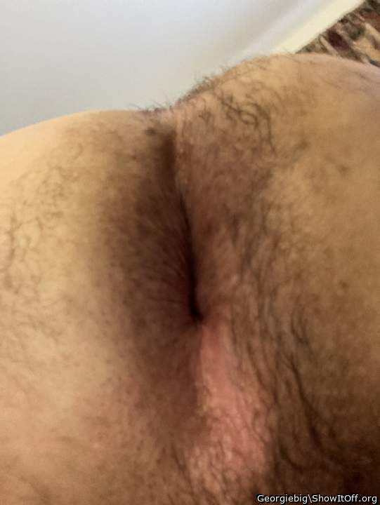 Photo of a middle leg from Georgiebig