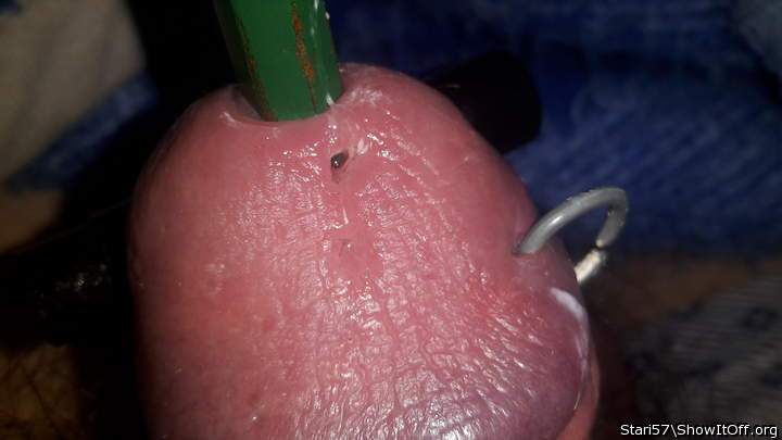 Photo of a love muscle from stari57