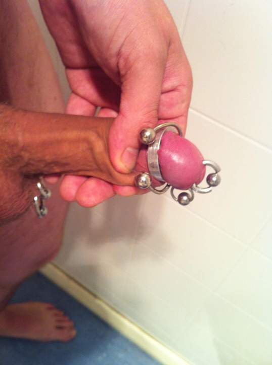 my pierced cock