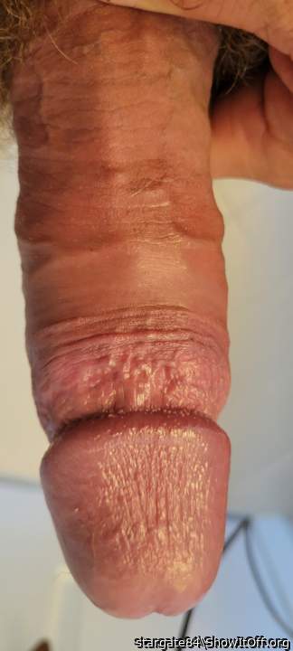 Photo of a horn from stargate84