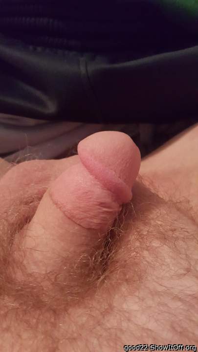 Photo of a schlong from good22