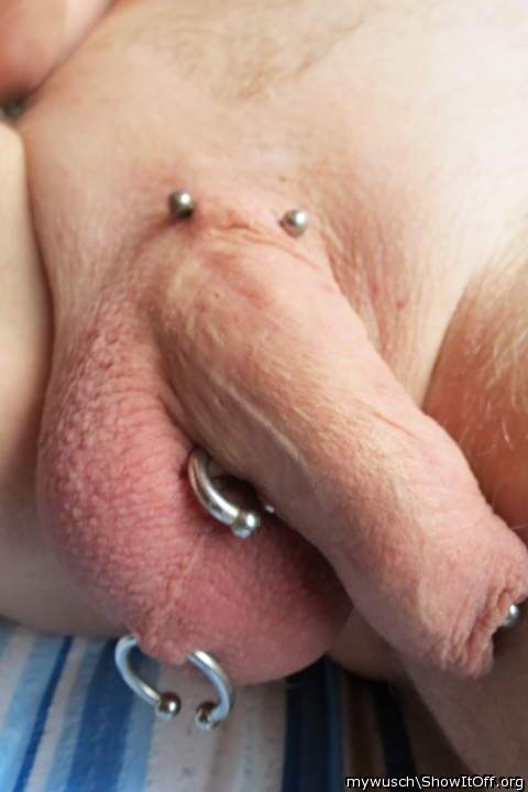 superb pierced manhood!  