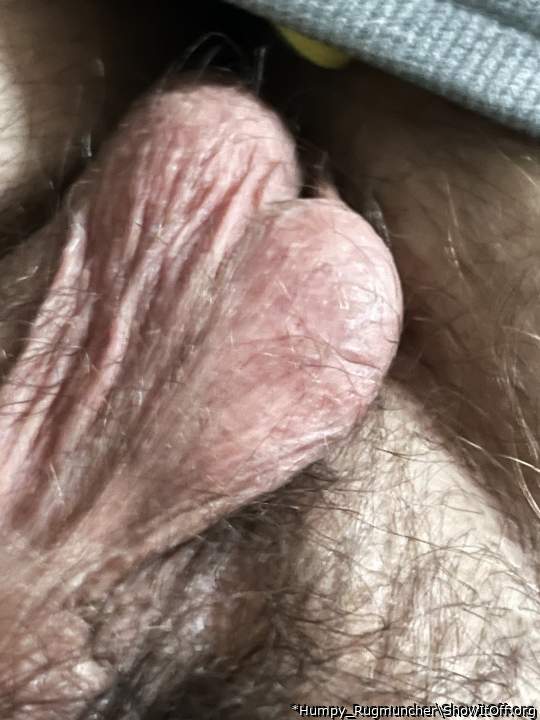 sweet testikles 