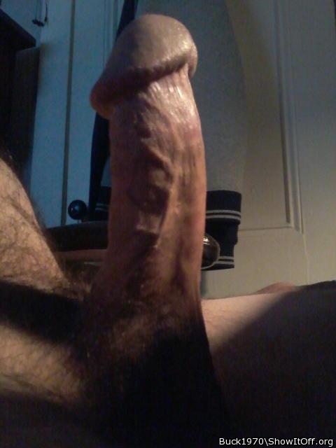Hard to take a bad picture of a cock so photogenic