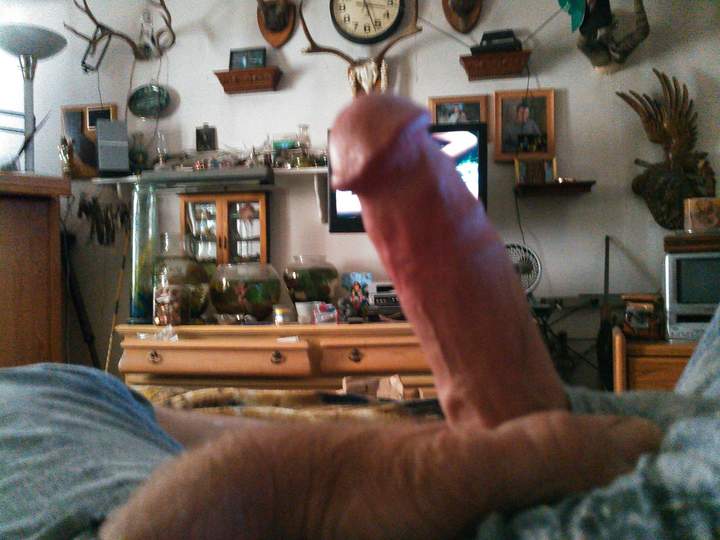 Looks horny to me. 