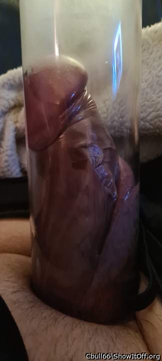 Photo of a snake from Cbull66