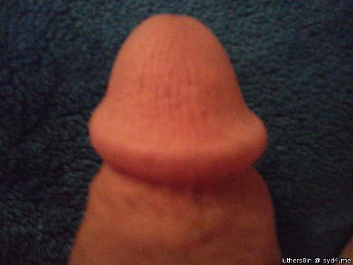 Photo of a weasel from luthers8in